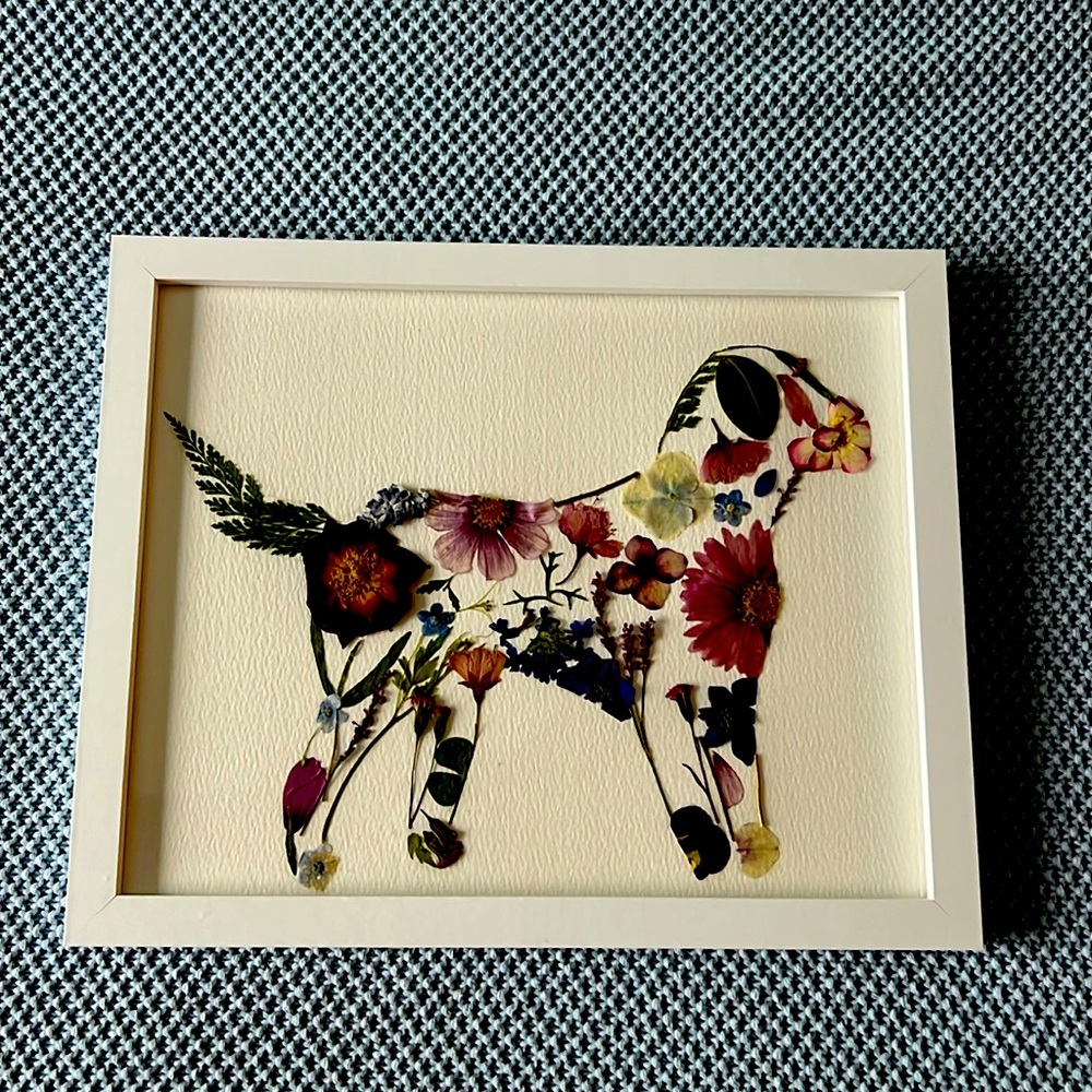 PRESSED FLOWER DOG